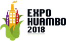 Expo-Huambo 2018 Logo